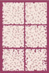 American Ice Vault 2x3