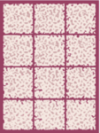 American Ice Vault 3x4